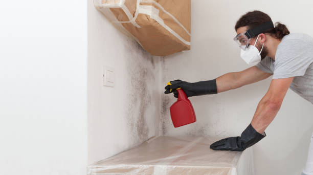 Professional Crawl Space Mold Removal technician working in Clifton, NJ