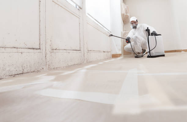 Trusted Crawl Space Mold Removal service in Clifton, NJ - WQB Mold Removal