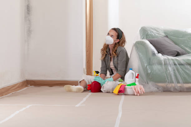 Reliable Crawl Space Mold Removal contractor in Clifton, NJ by WQB Mold Removal