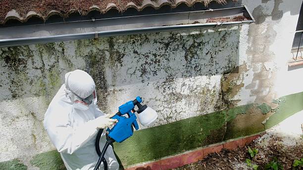Top rated local Crawl Space Mold Removal specialists in Clifton, NJ